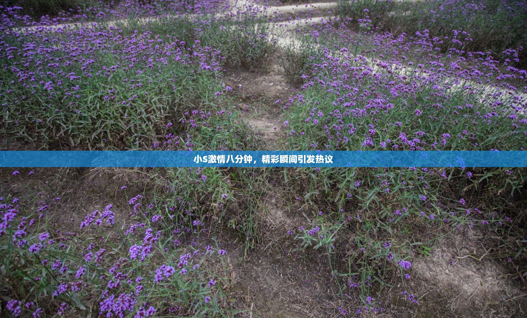 小S激情八分钟，精彩瞬间引发热议