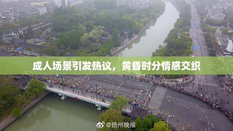 成人场景引发热议，黄昏时分情感交织