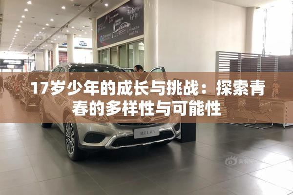 17岁少年的成长与挑战：探索青春的多样性与可能性