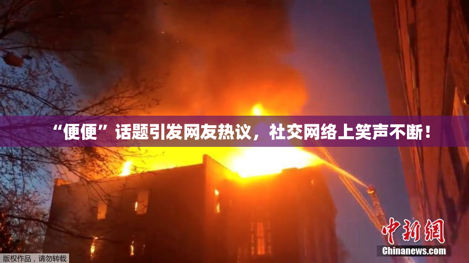 “便便”话题引发网友热议，社交网络上笑声不断！