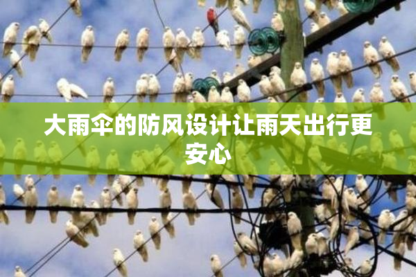 大雨伞的防风设计让雨天出行更安心