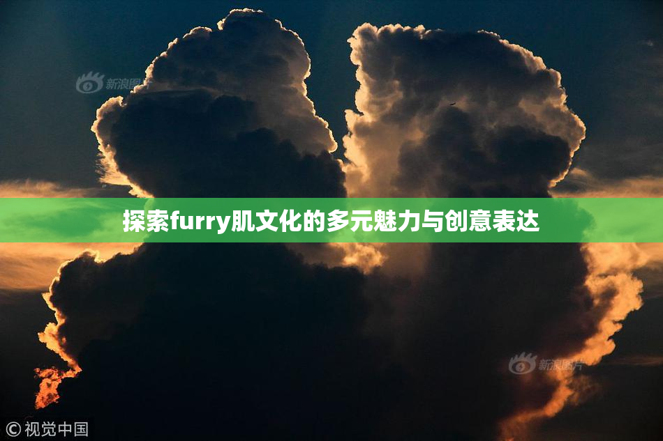 探索furry肌文化的多元魅力与创意表达