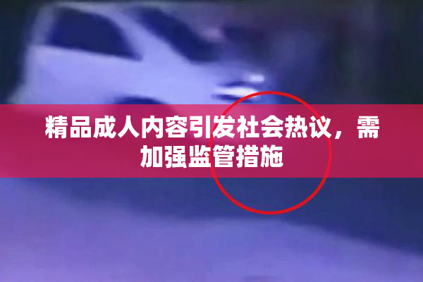 精品成人内容引发社会热议，需加强监管措施
