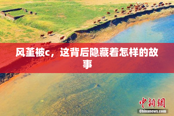 风堇被c，这背后隐藏着怎样的故事