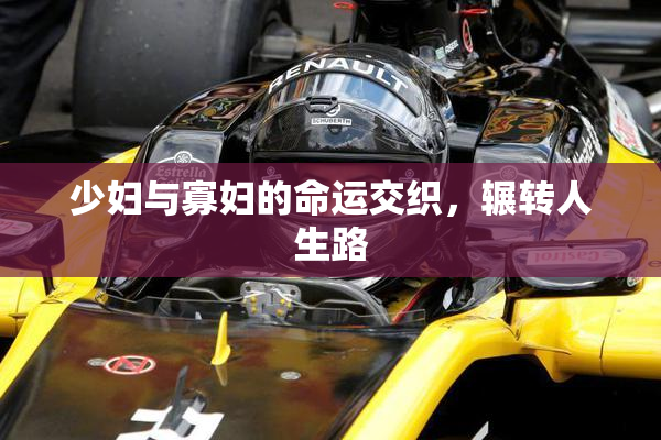 少妇与寡妇的命运交织，辗转人生路
