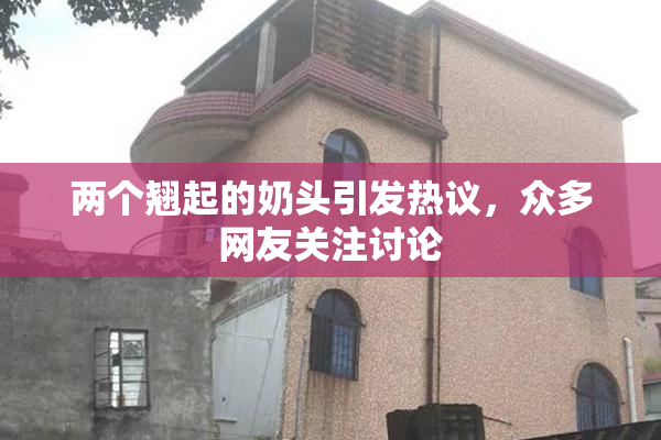 两个翘起的奶头引发热议，众多网友关注讨论