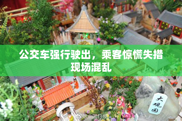 公交车强行驶出，乘客惊慌失措现场混乱