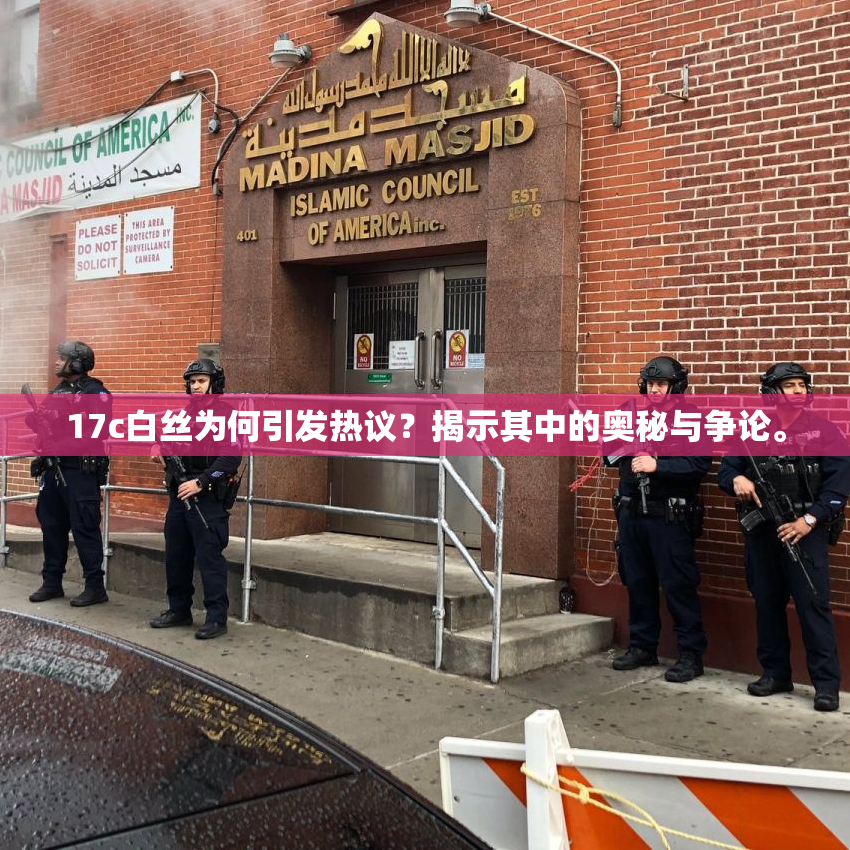 17c白丝为何引发热议？揭示其中的奥秘与争论。