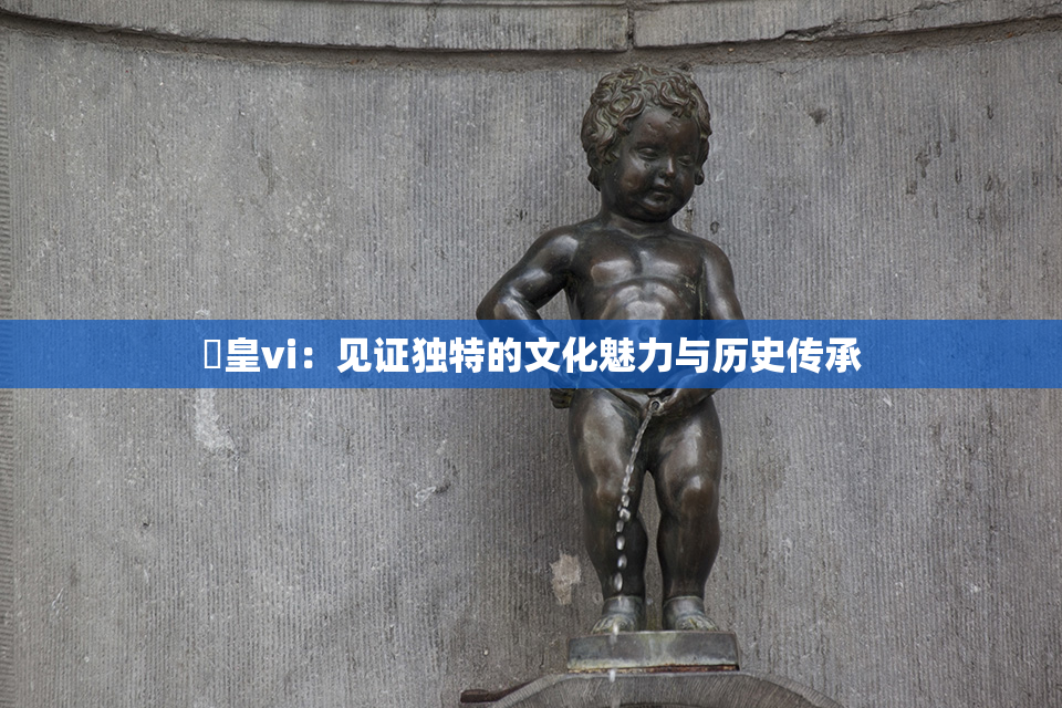 嘼皇vi：见证独特的文化魅力与历史传承