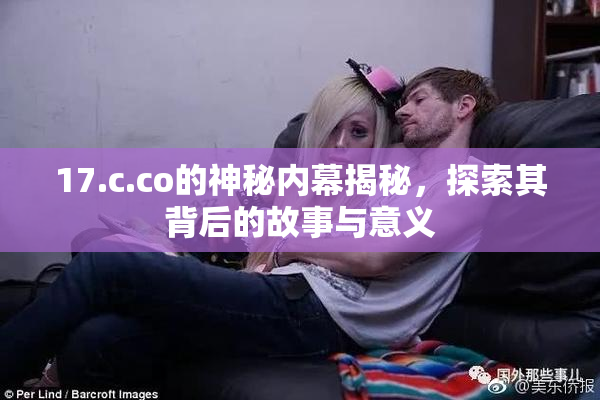 17.c.co的神秘内幕揭秘，探索其背后的故事与意义