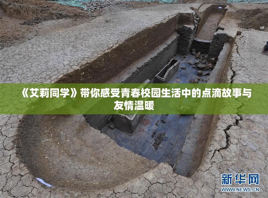 《艾莉同学》带你感受青春校园生活中的点滴故事与友情温暖