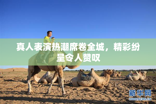 真人表演热潮席卷全城，精彩纷呈令人赞叹