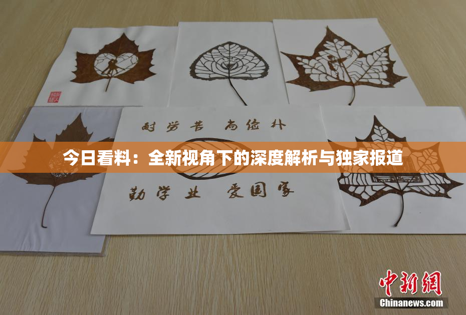 今日看料：全新视角下的深度解析与独家报道