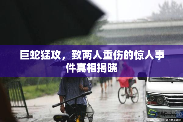 巨蛇猛攻，致两人重伤的惊人事件真相揭晓