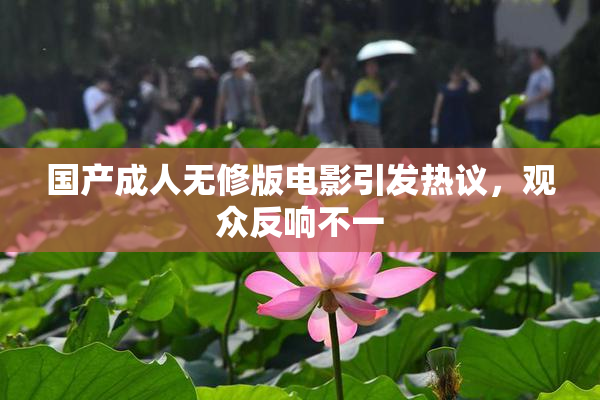 国产成人无修版电影引发热议，观众反响不一