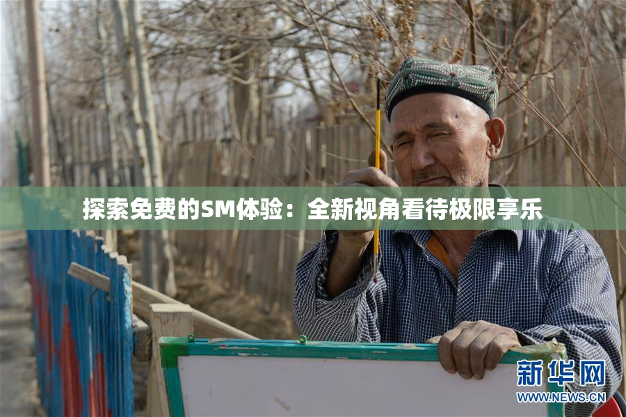 探索免费的SM体验：全新视角看待极限享乐
