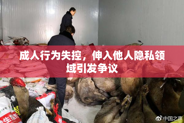 成人行为失控，伸入他人隐私领域引发争议