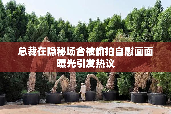 总裁在隐秘场合被偷拍自慰画面曝光引发热议