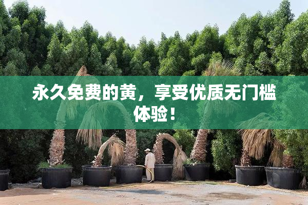 永久免费的黄，享受优质无门槛体验！