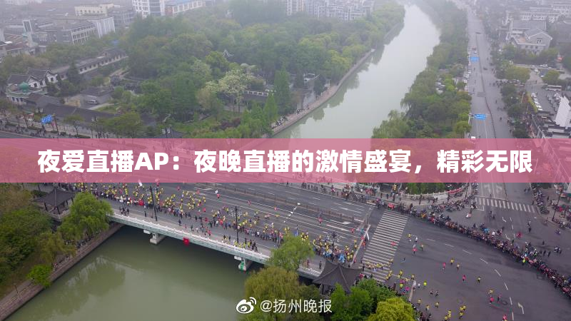 夜爱直播AP：夜晚直播的激情盛宴，精彩无限
