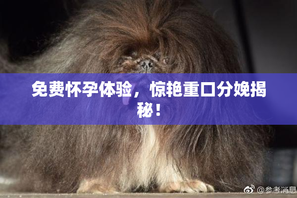 免费怀孕体验，惊艳重口分娩揭秘！