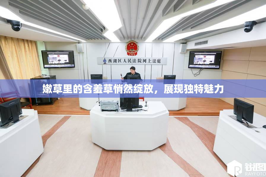 嫩草里的含羞草悄然绽放，展现独特魅力