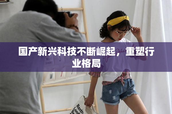 国产新兴科技不断崛起，重塑行业格局