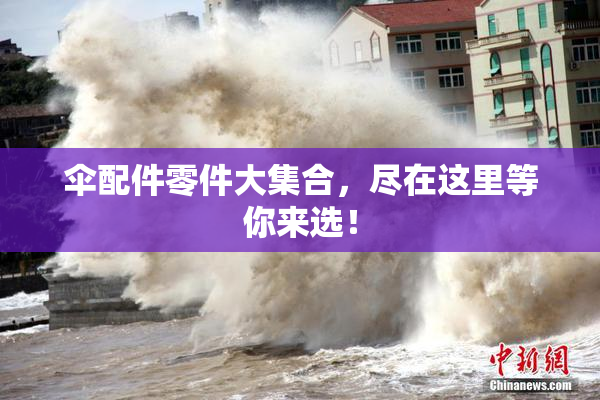 伞配件零件大集合，尽在这里等你来选！