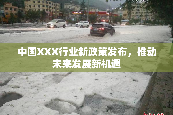 中国XXX行业新政策发布，推动未来发展新机遇