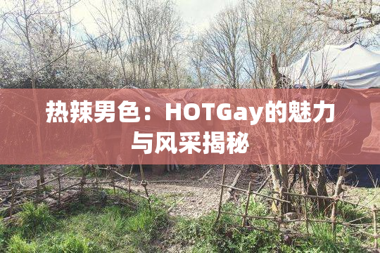 热辣男色：HOTGay的魅力与风采揭秘