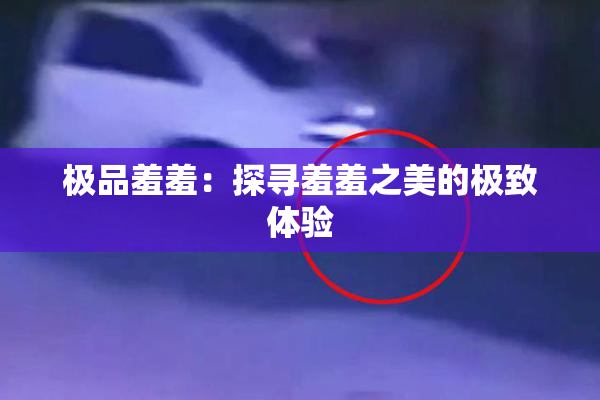 极品羞羞：探寻羞羞之美的极致体验