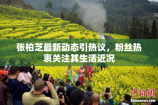 张柏芝最新动态引热议，粉丝热衷关注其生活近况