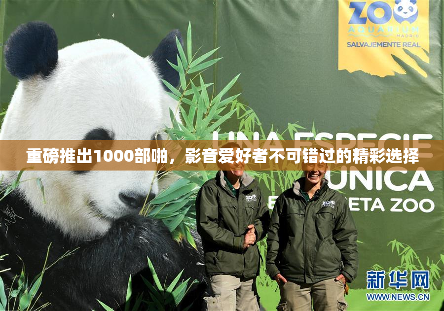 重磅推出1000部啪，影音爱好者不可错过的精彩选择