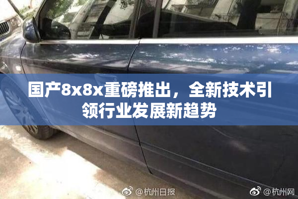 国产8x8x重磅推出，全新技术引领行业发展新趋势