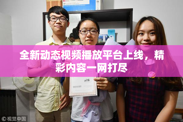 全新动态视频播放平台上线，精彩内容一网打尽