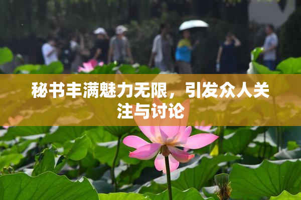 秘书丰满魅力无限，引发众人关注与讨论