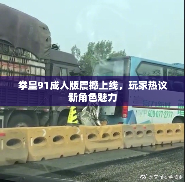 拳皇91成人版震撼上线，玩家热议新角色魅力