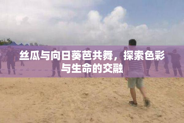 丝瓜与向日葵芭共舞，探索色彩与生命的交融