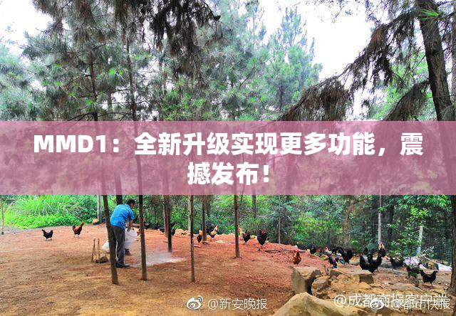 MMD1：全新升级实现更多功能，震撼发布！