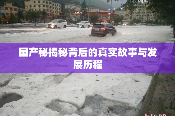 国产秘揭秘背后的真实故事与发展历程