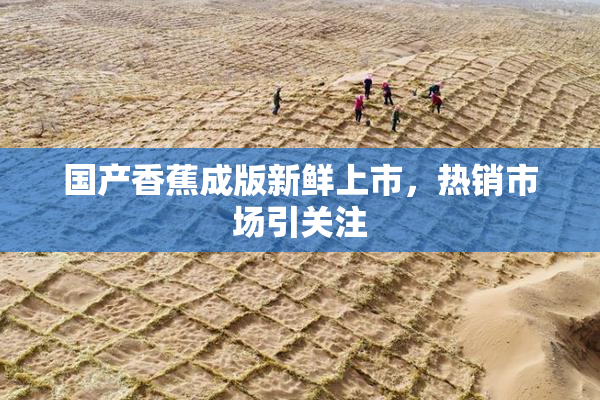 国产香蕉成版新鲜上市，热销市场引关注