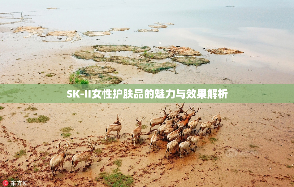 SK-II女性护肤品的魅力与效果解析