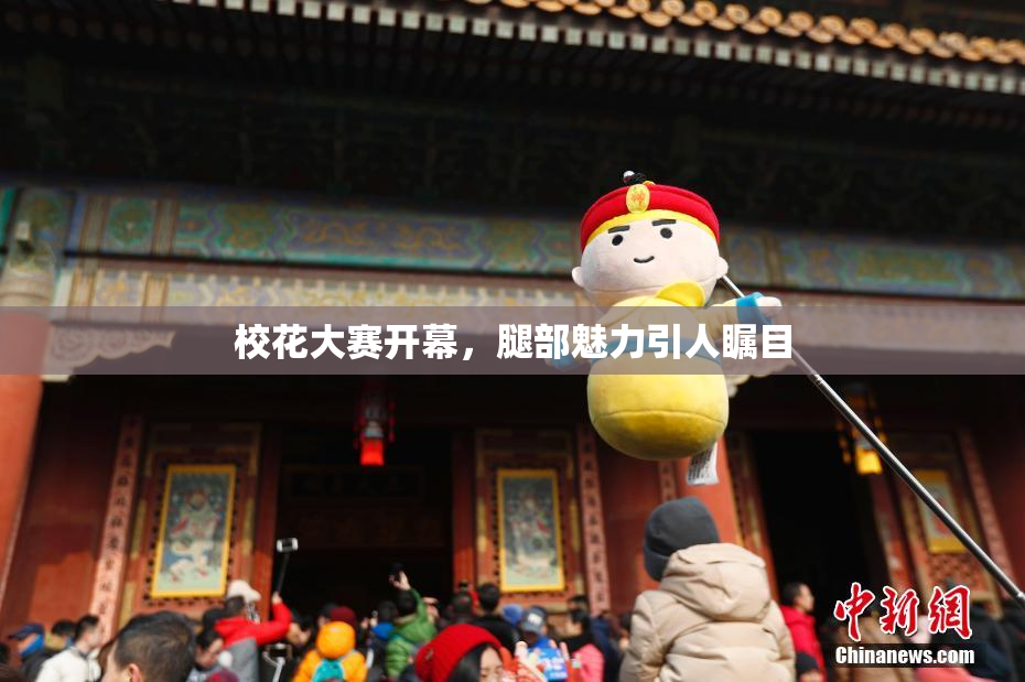 校花大赛开幕，腿部魅力引人瞩目
