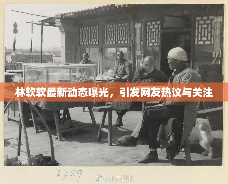林软软最新动态曝光，引发网友热议与关注
