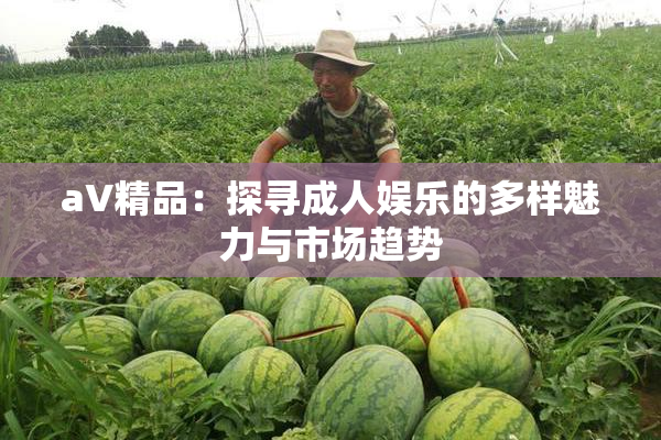 aV精品：探寻成人娱乐的多样魅力与市场趋势