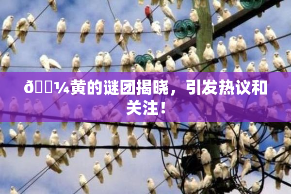 🌼黄的谜团揭晓，引发热议和关注！