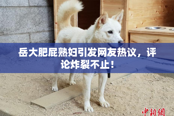 岳大肥屁熟妇引发网友热议，评论炸裂不止！
