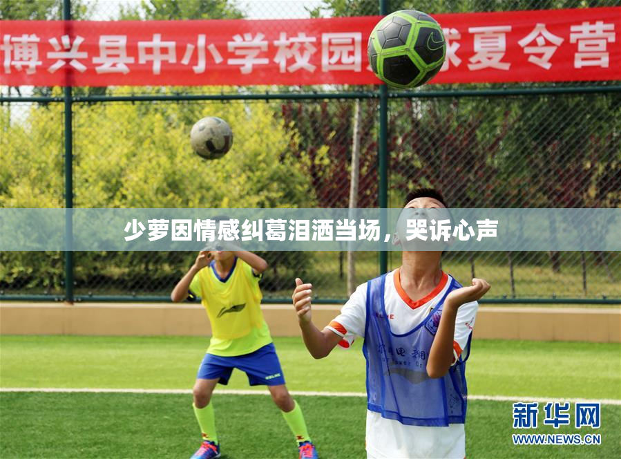 少萝因情感纠葛泪洒当场，哭诉心声