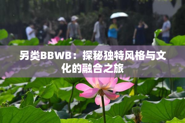 另类BBWB：探秘独特风格与文化的融合之旅
