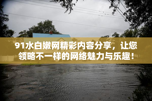 91水白嫩网精彩内容分享，让您领略不一样的网络魅力与乐趣！